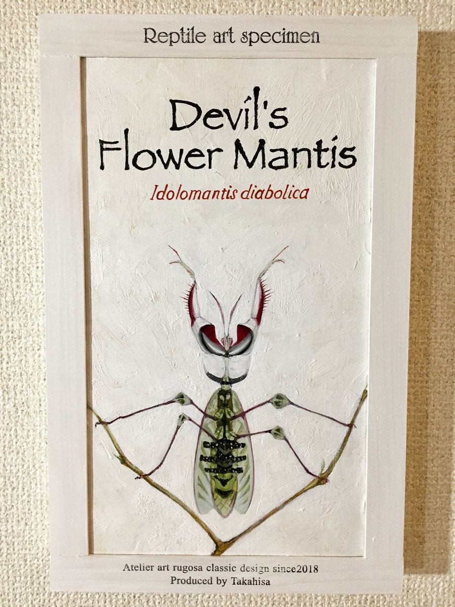 過去作品 19 2月オーダー制作 ニセハナマオウカマキリ キャンバスに油彩 多加久 アートルゴッサ 両爬虫 のイラスト