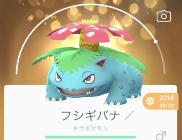 ポケモンgo フシギダネ フシギソウ フシギバナ のオススメ育成法 色違い メガシンカの姿 ロケットニュース24