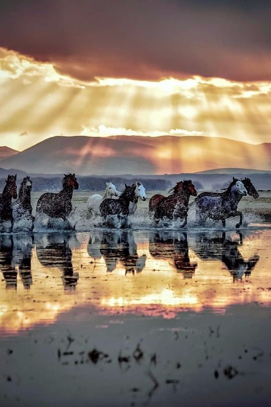 KatanaHugo's tweet photo. Good morning dear friends
#photos #photography #morning #sunrise https://t.co/Z11duFBBjt