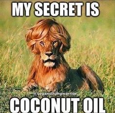 #lion #comedy #Funniestmemes #cool #coolsmash #oil