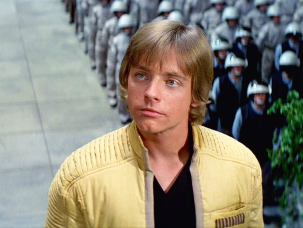 Brad on X: Am I the only one who thinks Nico Hoerner looks like a young  Mark Hamill?  / X