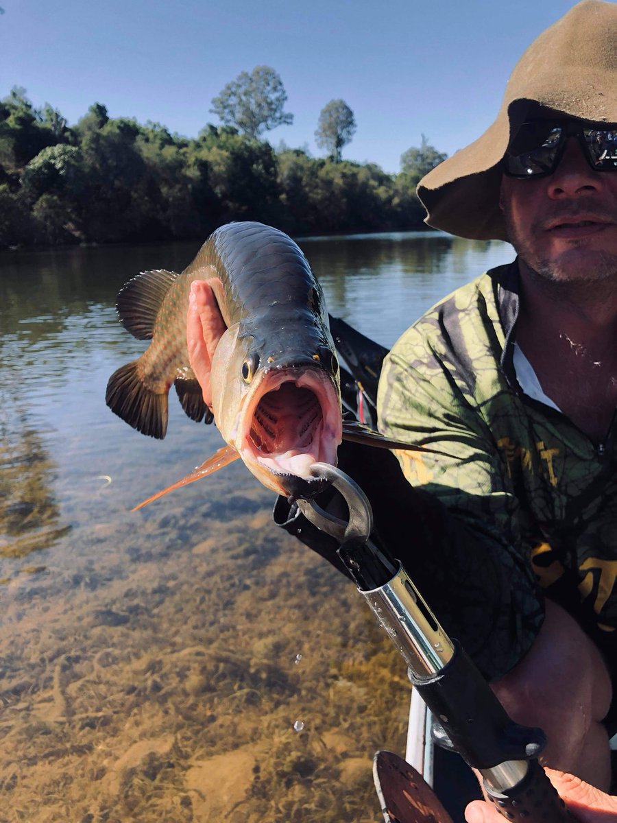 Billy Kirkwood on the Mary River, Queensland, Australia 
#fishing #fishingaustralia #maryriverfishing #maryriver #fishingqld #outdoors