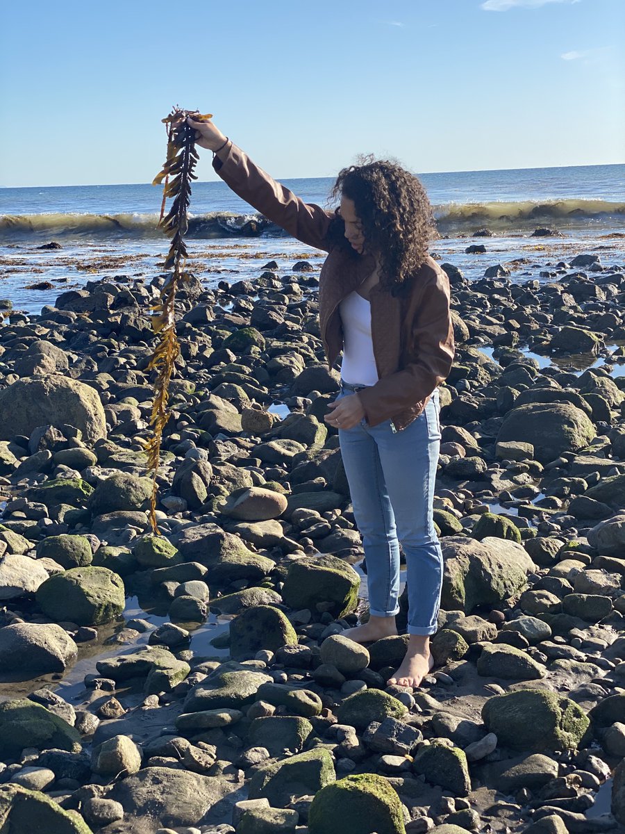 CDLS@UCLA tweet media