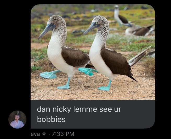 out of context peter quartz gang tweet media
