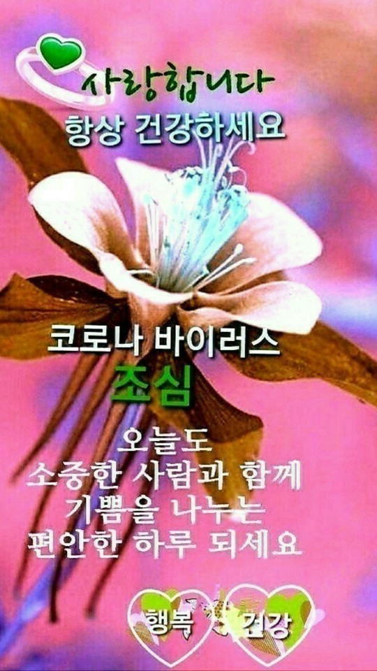 으르신 카톡 짤 모음 on Twitter: "https://t.co/Az1N06h0qH" / Twitter