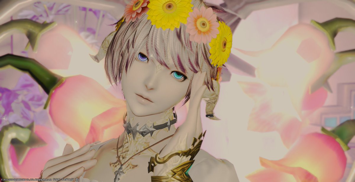 さくらもち Ff Sur Twitter おはウラ です 新しい髪型 ﾑｽﾞｶｼｲﾈ 髪が重く見えるからもっと髪色薄いといいのかな 聖なる翼 W 撮ったら戻したけどね 昨日は４層３連出勤2勝でした 体力もっていかれるけどﾀﾉｼｲﾃﾞｽ Ff14 本日のアウラ メスラ 後