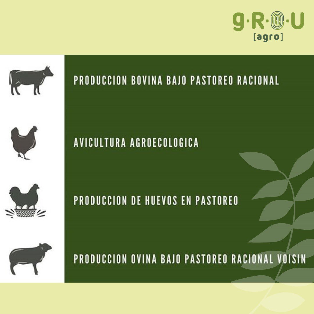 gROUagro's tweet photo. 📗⚠️ Es oficial!! Tendremos a la brevedad este tan deseado libro!! 🤯😱😱

Les recordamos que es uno de los premios del gran sorteo que publicamos en Instagram hace unos días así que vayan a participar!

Inversión $1000. Interesados comunicarse por privado. https://t.co/AhqbYaNamx
