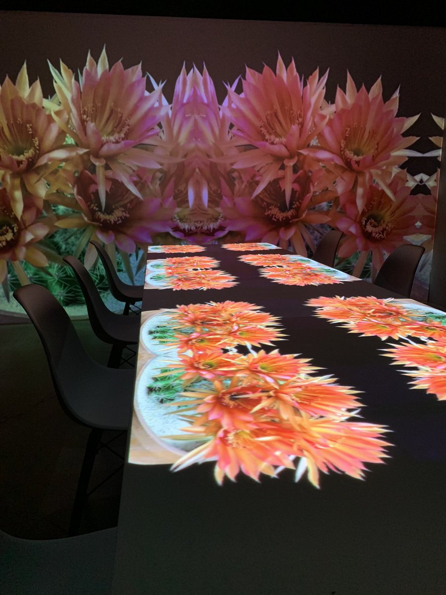 playelectric's tweet photo. In need of a date night? 💞 Want to get together with a few friends? 👫🏽👩🏼‍🤝‍👩🏾(Socially distanced, of course....) Then grab some tickets to our beautifully designed Southwest Immersive ‘Curiosities’ dinner! 
#thingstodoinabq #nmtrue #thingstodo #sociallydistanced #albuquerque https://t.co/DF4bJqpwcF