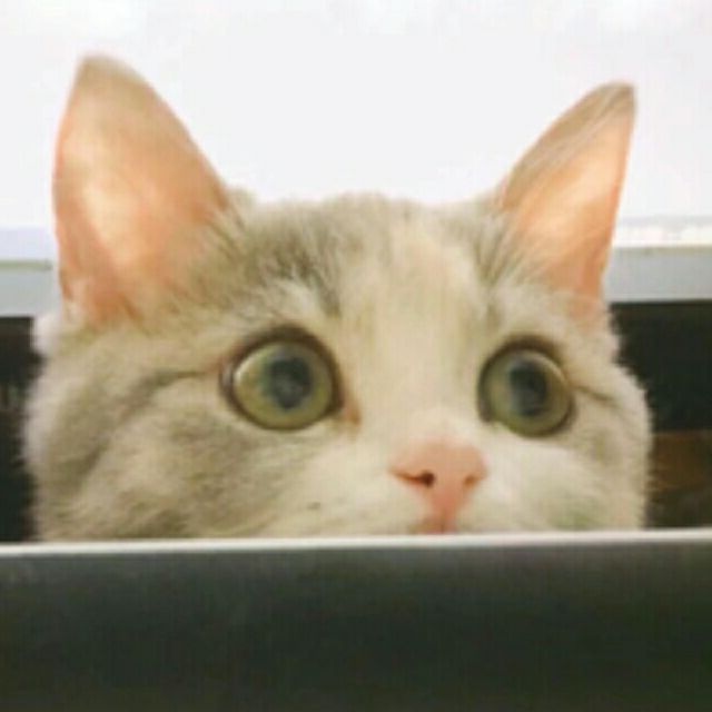 138555wer's tweet photo. 555 https://t.co/C0QyzwJLCq