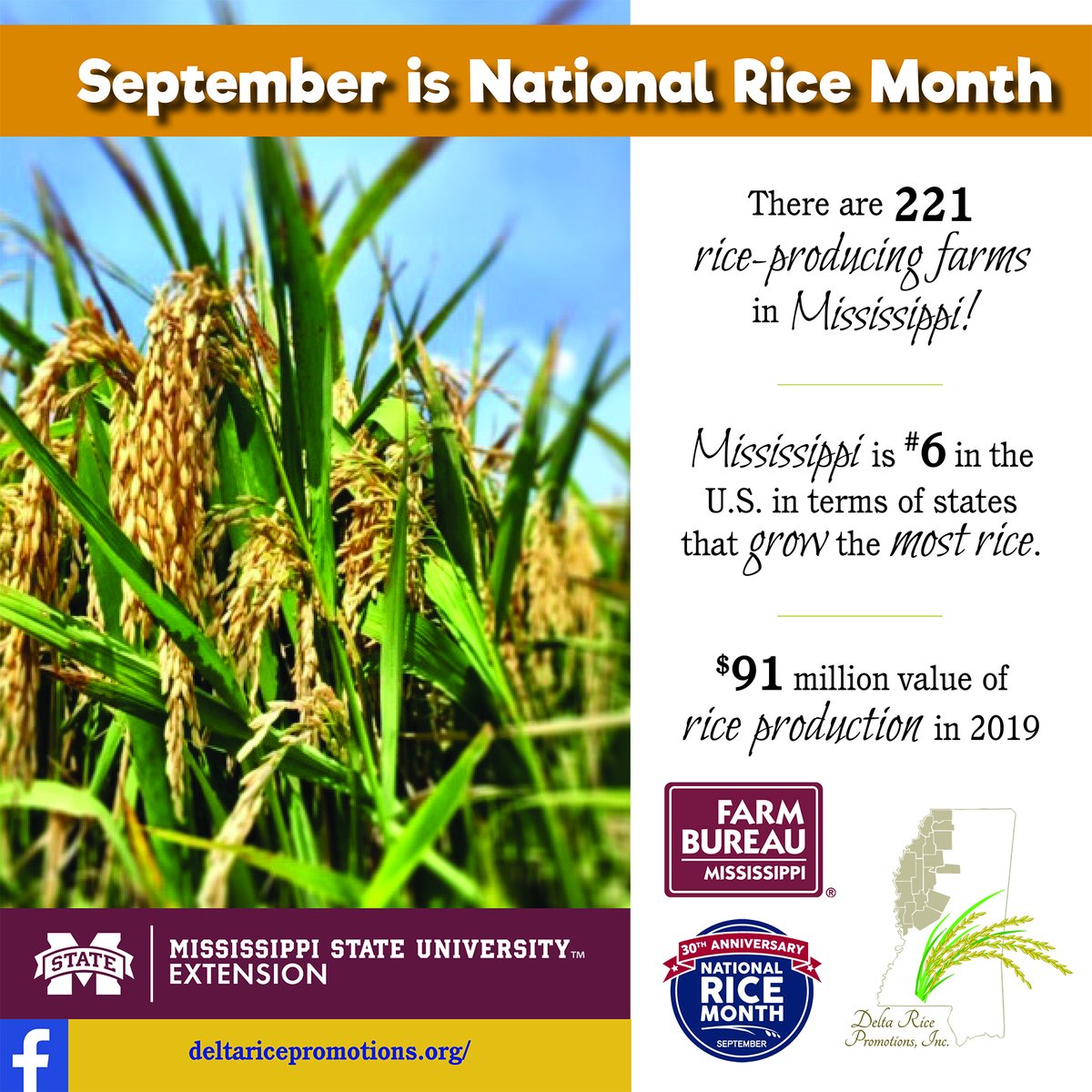 Did you know September is #NationalRiceMonth? Join us in celebrating rice producers all across the state and country! 

Fun fact: There are 221 rice-producing farms in Mississippi! #mscrops #MSUext