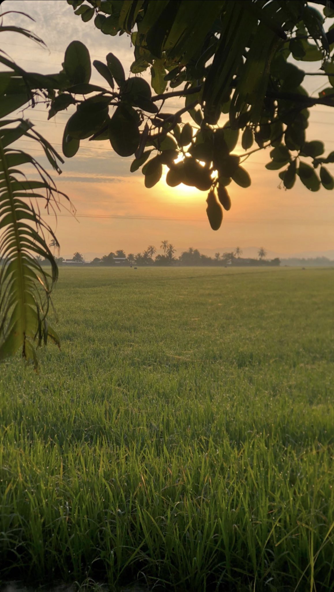 Fedtri Yahya على تويتر Mentari Muncul Lagi Hilang Dan Kembali Tidak Seperti Manusia Bersinar Dan Terus Menghilang Tinggallah Pemuja Meratapi Sisa Cinta Terlupa Sinar Cinta Duniawi Bukanlah Kiriman Agung Https T Co L1kyrgjwan