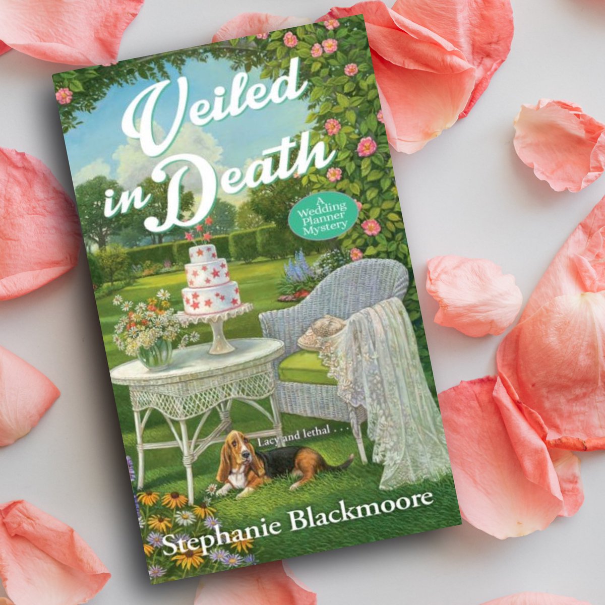 TheCozyDevotee's tweet photo. I’m reading Book 6 in the Wedding Planner series by Stephanie Blackmoore. 🌸There’s lots of talk about weddings, history of the town, past drama, and family dynamics. I’m curious if all the previous books in the series had a slow build up to the murder too? #cozymystery https://t.co/WWYqIXFyxK