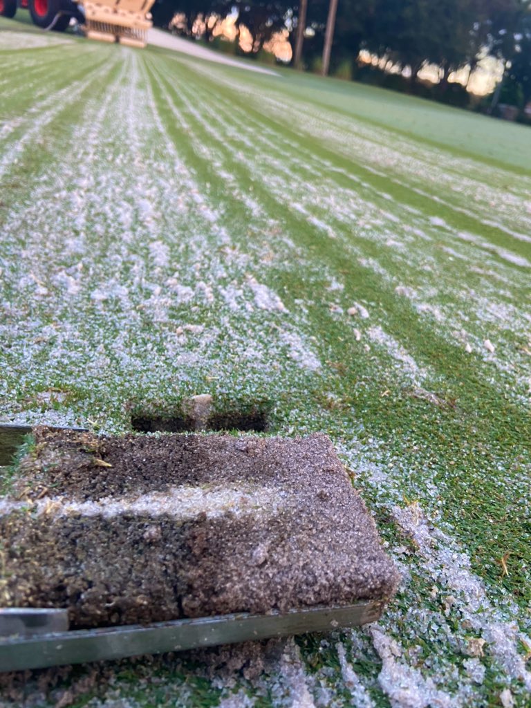 TurfTech_'s tweet image. Some great shots from yesterday!