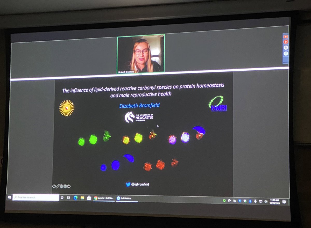 Alexandra Peters tweet media