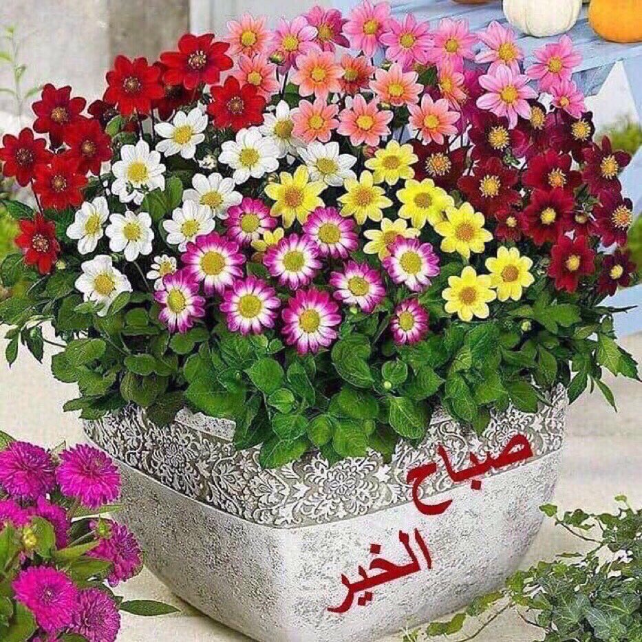 OmKhale20539731's tweet photo. https://t.co/DiGj2rF7qq