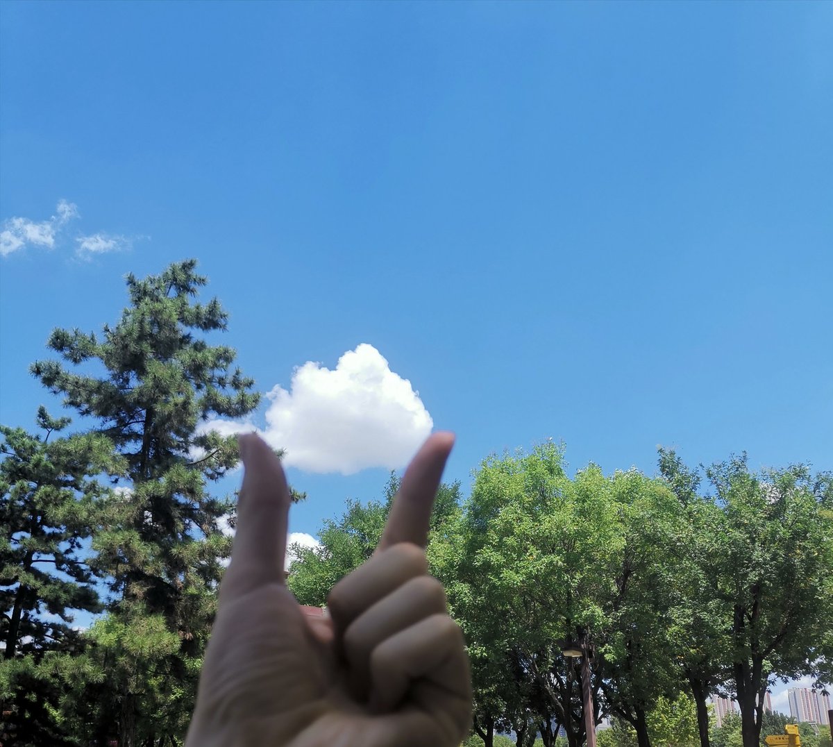 FZhaozu's tweet image. Clean！
アオー！
透彻！