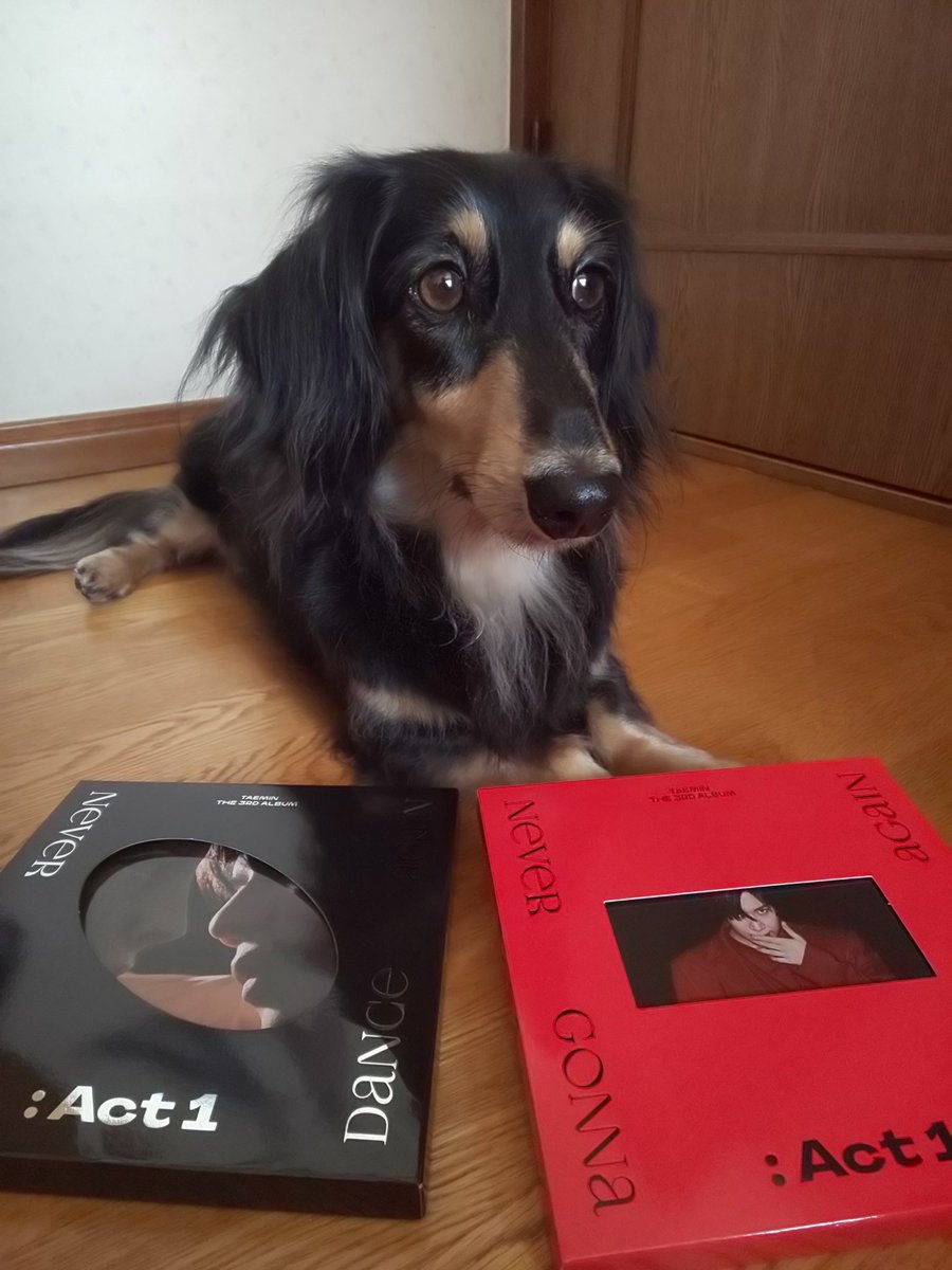 ちょびこ テミンちゃんのアルバム届いた ポスターとかトレカはリプに Taemin 태민 Criminal テミン Nevergonnadanceagainact1