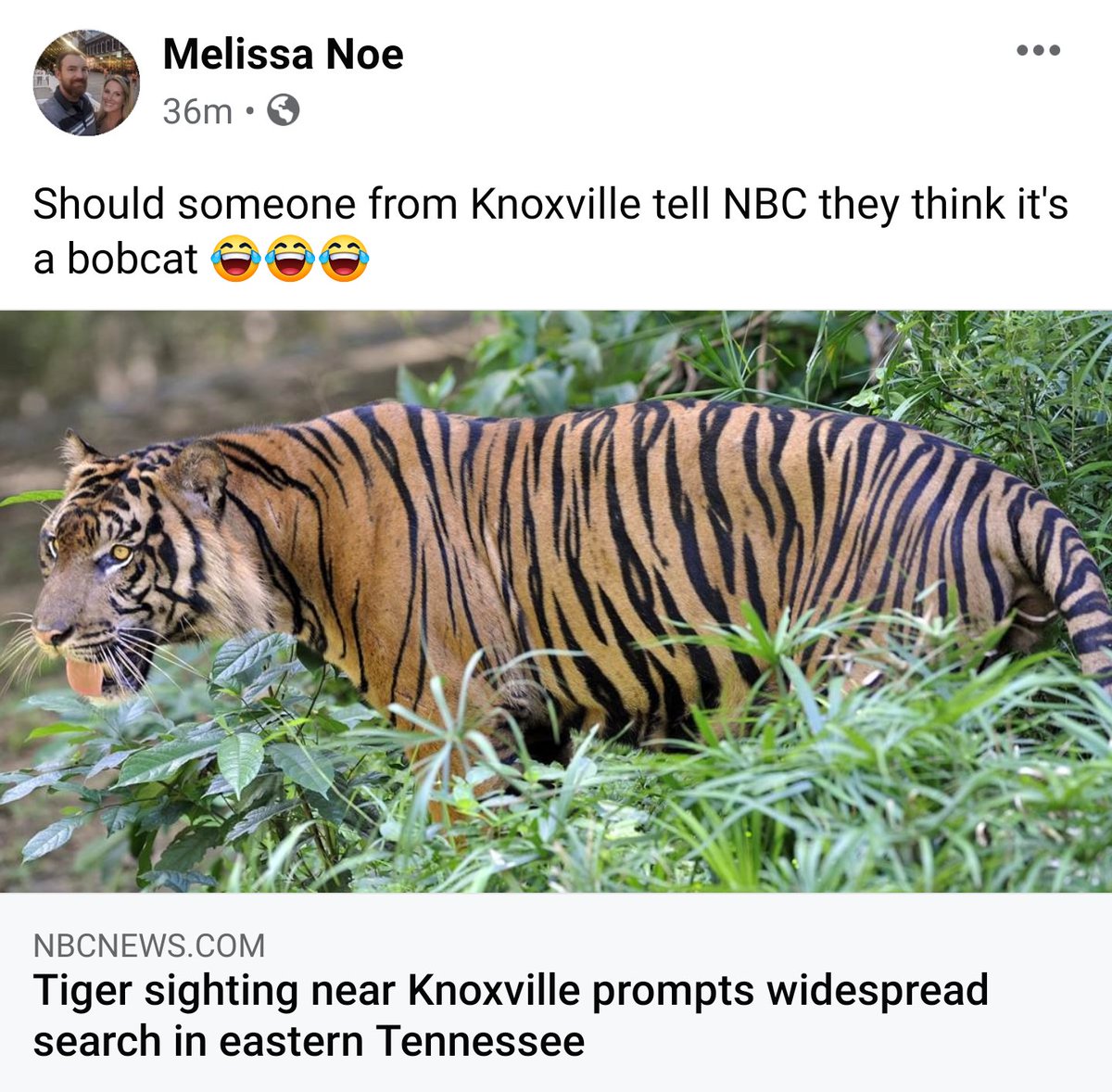 CMSocialMKTG's tweet photo. Welcome to #KnoxVegas! 😂

#KnoxvilleTiger #jumanji #Thisis2020 https://t.co/r7fPrwLDv3