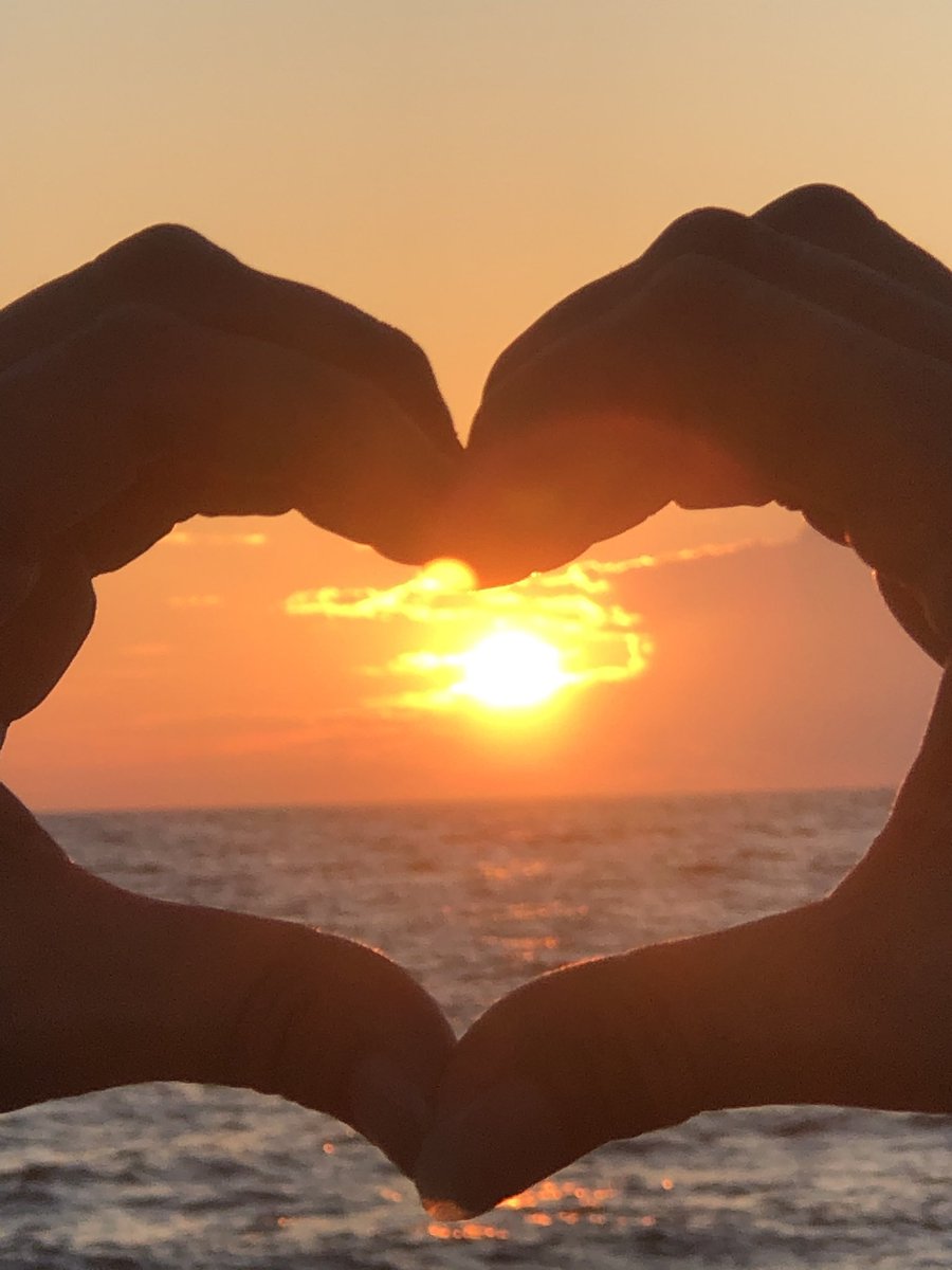 Miss Beverly ☀️🙏✨🐝 tweet media