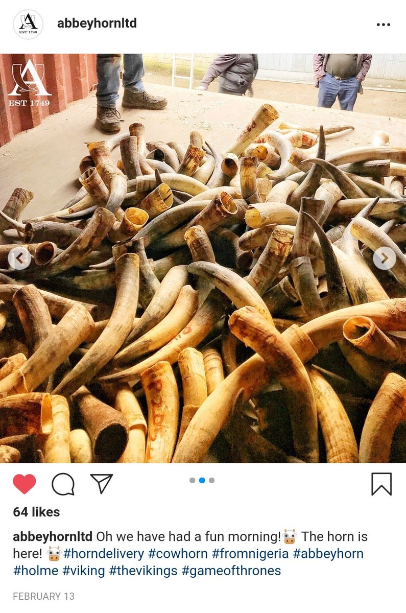 Chordrycadry's tweet photo. I am proud to say our company worked with Abbeyhorn of UK by supplying horns that helped in filming Game of thrones and the Vikings series. Here are before and after shipment Pics(note the letter &amp; number on horns). Please patronize @AbbeyhornLtd for different horn products. https://t.co/Mc1JVfjkVG