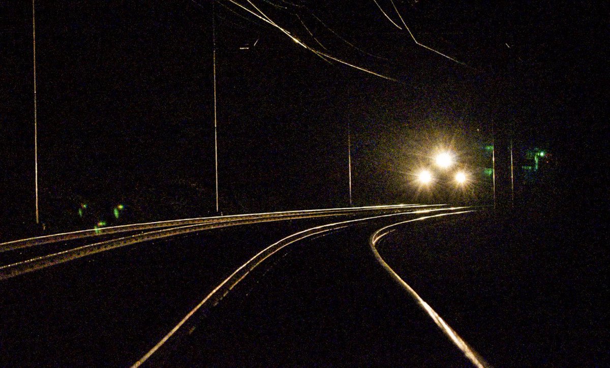 A few from today.A cardinal and a woodpecker because I’m a bird nerd.A rabbit enjoying breakfast.And a rainy night train.