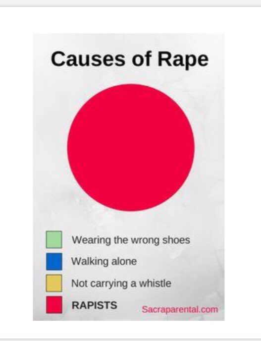 And the last image I share in training sessions on rape stories: the causes of rape