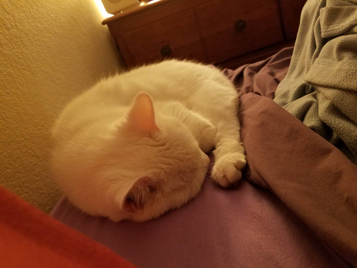 Sara Hill tweet media