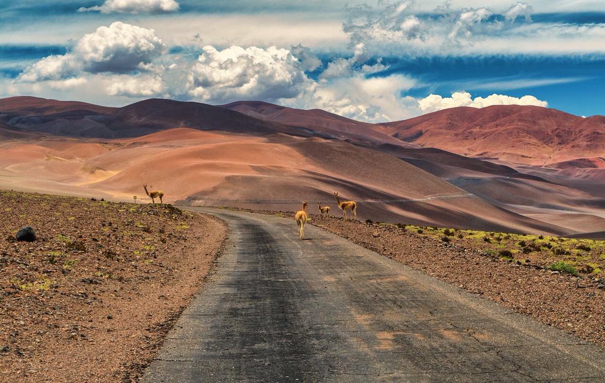 SaltaVisit's tweet photo. A la distancia pero unidos, caminemos juntos.
F @drapaza
#Salta
#TanLindaQueEnamora
#QuedateEnCasa
#ViajaMañana
#CompraHoy https://t.co/EJEr8I2nY2