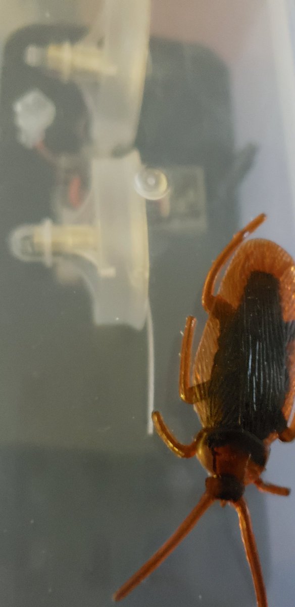 fpvcheese's tweet photo. #Newbeedrone + cockroach swag https://t.co/BEue19tZLP