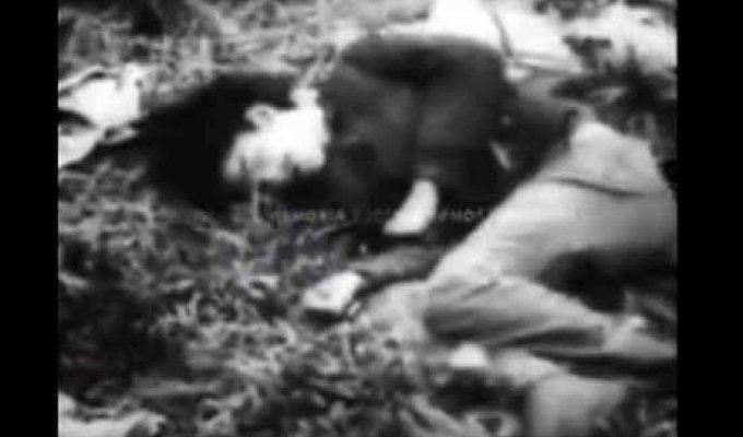 PiensaPrensa's tweet photo. Héroes Invisible: #11deSeptiembre 
Cuerpos asesinados en el Río Mapocho luego del Golpe de Estado en 1973. 😪
https://t.co/Ybnq92pzOm https://t.co/R2XGSUgYC1