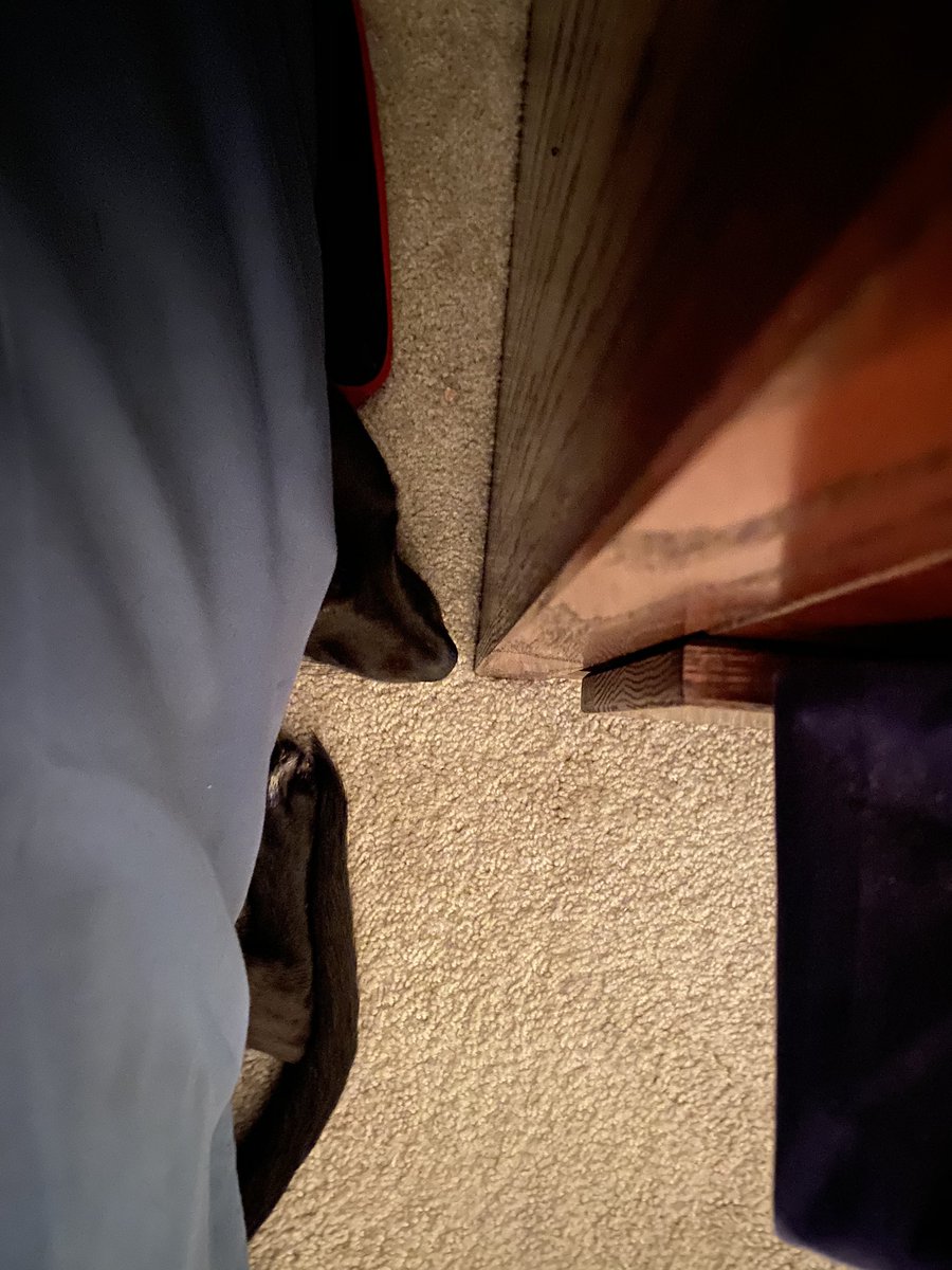 Under the bed Murph