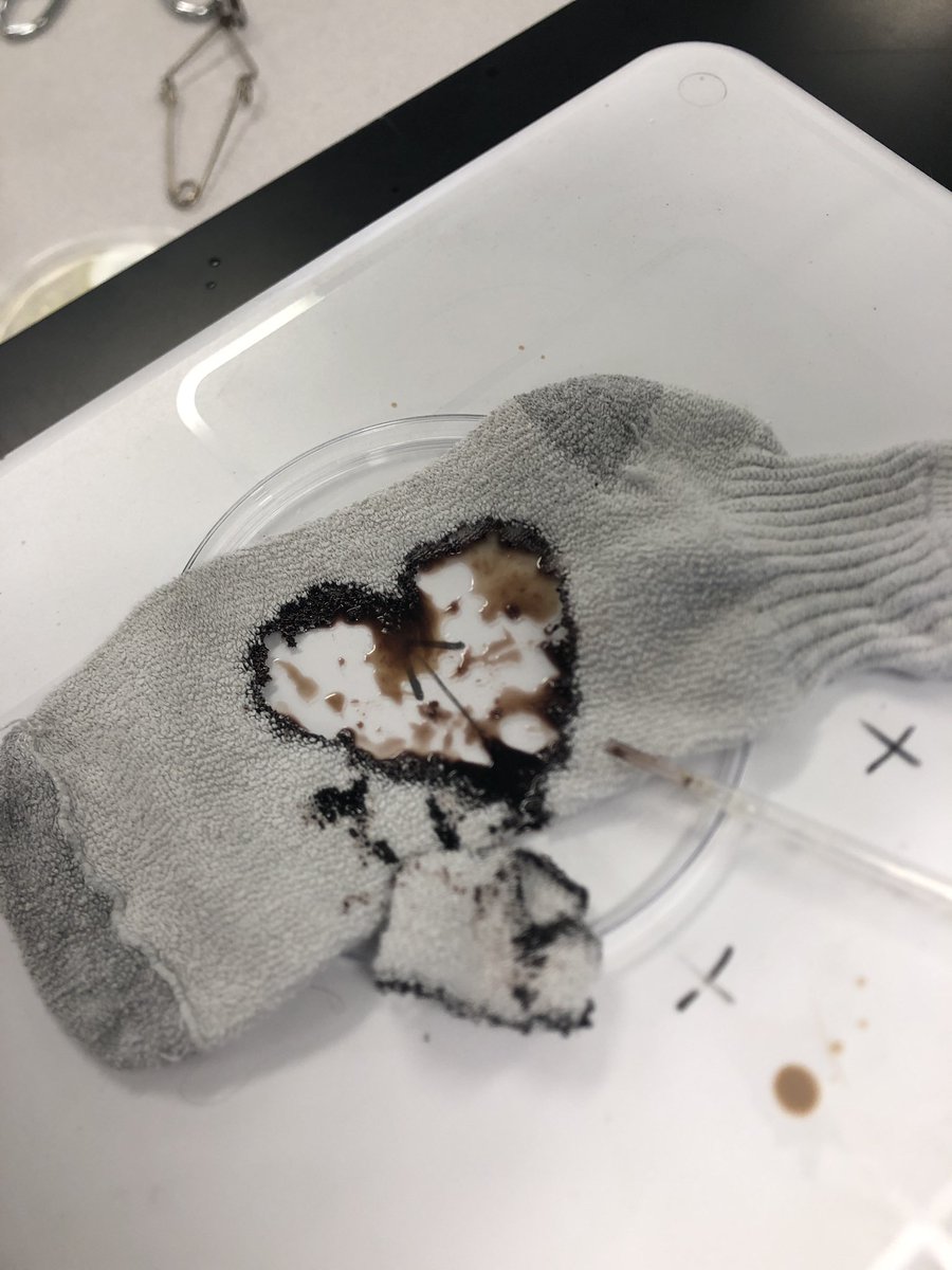 bethanykshields's tweet photo. Why we wear an apron during lab... (okay we probly wonβt be using concentrated sulfuric acid in tenth grade but still...) #misdproud #go2panthers #labsafety https://t.co/Lo94kj9Xyv
