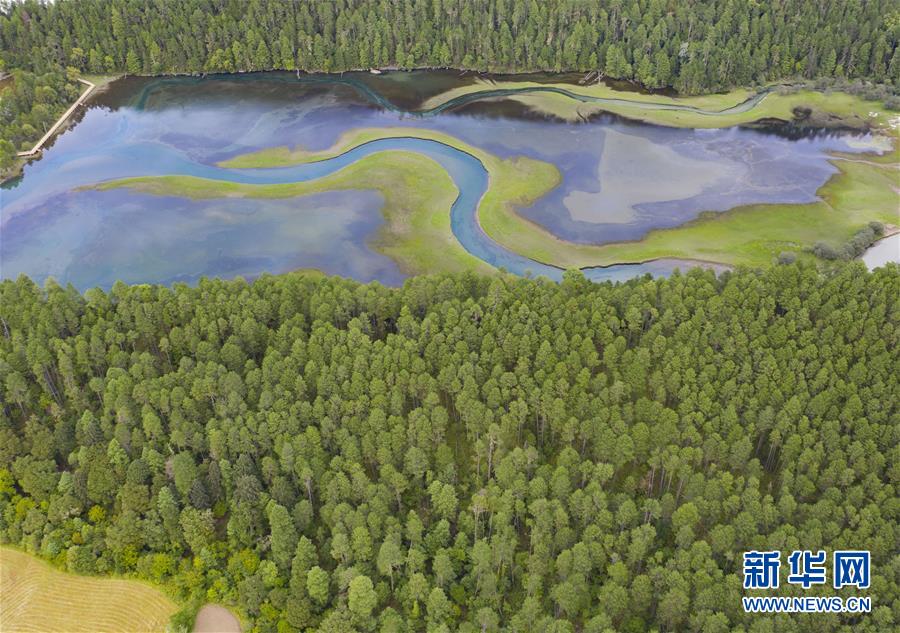 PDChinese's tweet photo. 這是林芝市波密縣草湖風景（9月9日攝，無人機照片）。草湖位於西藏林芝市波密縣崗雲杉林景區，這裡秋季雨水充沛，在原始森林的包圍中顯得格外神秘與美麗。 https://t.co/qRY9aeVn8X
