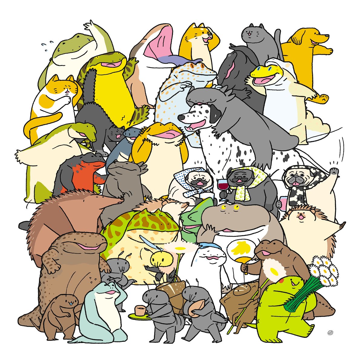 いきものだもの 世界には色々な動物たちがいます