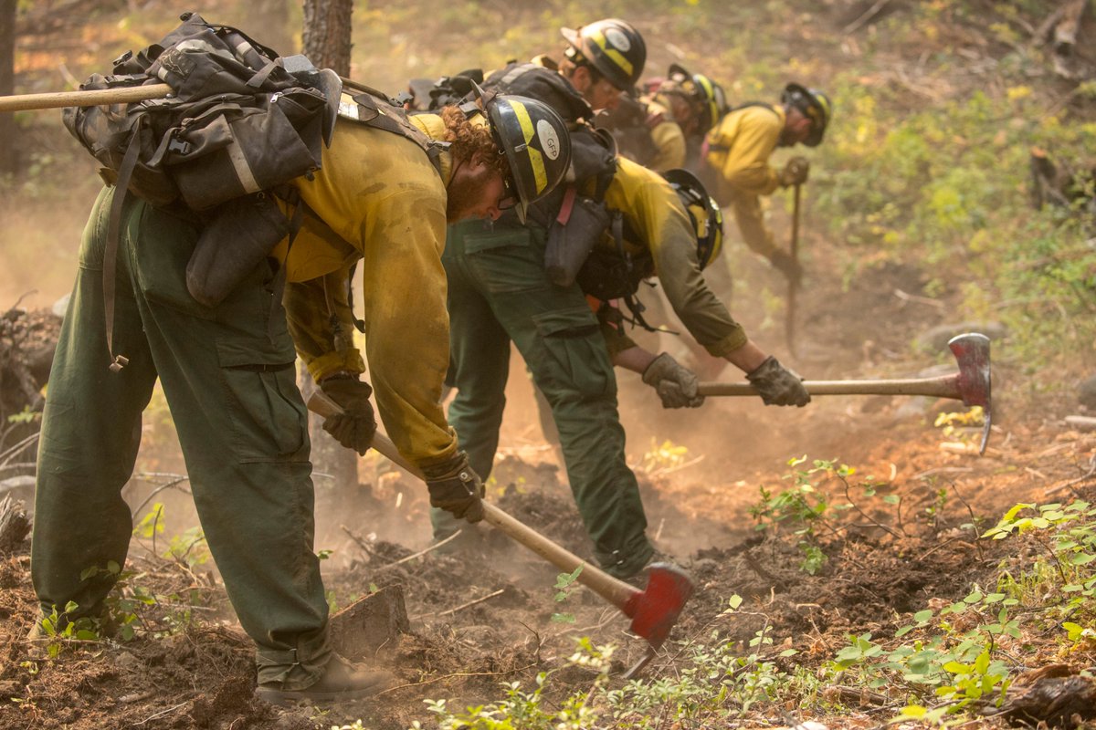 “When I was a boy &amp; I would see scary things in the news, my mother would say to me, "Look for the helpers. You will always find people who are helping.”

― Fred Rogers