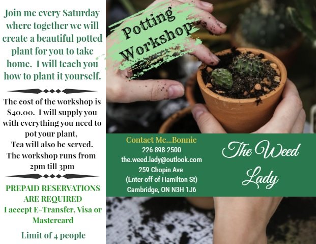 Bonnie Green tweet media