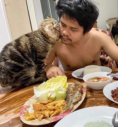 鋭い眼光で夫を独り占めする猫！！奥さん、ポジションを奪われるのでは・・・と焦る！！