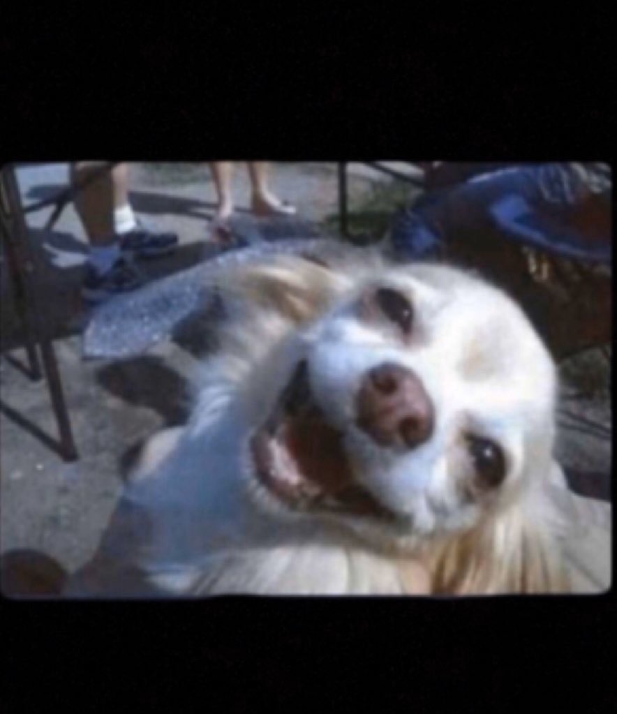 #نايف_حمدان                                              البنات : يبه ترا هذا البطال                             البطال :