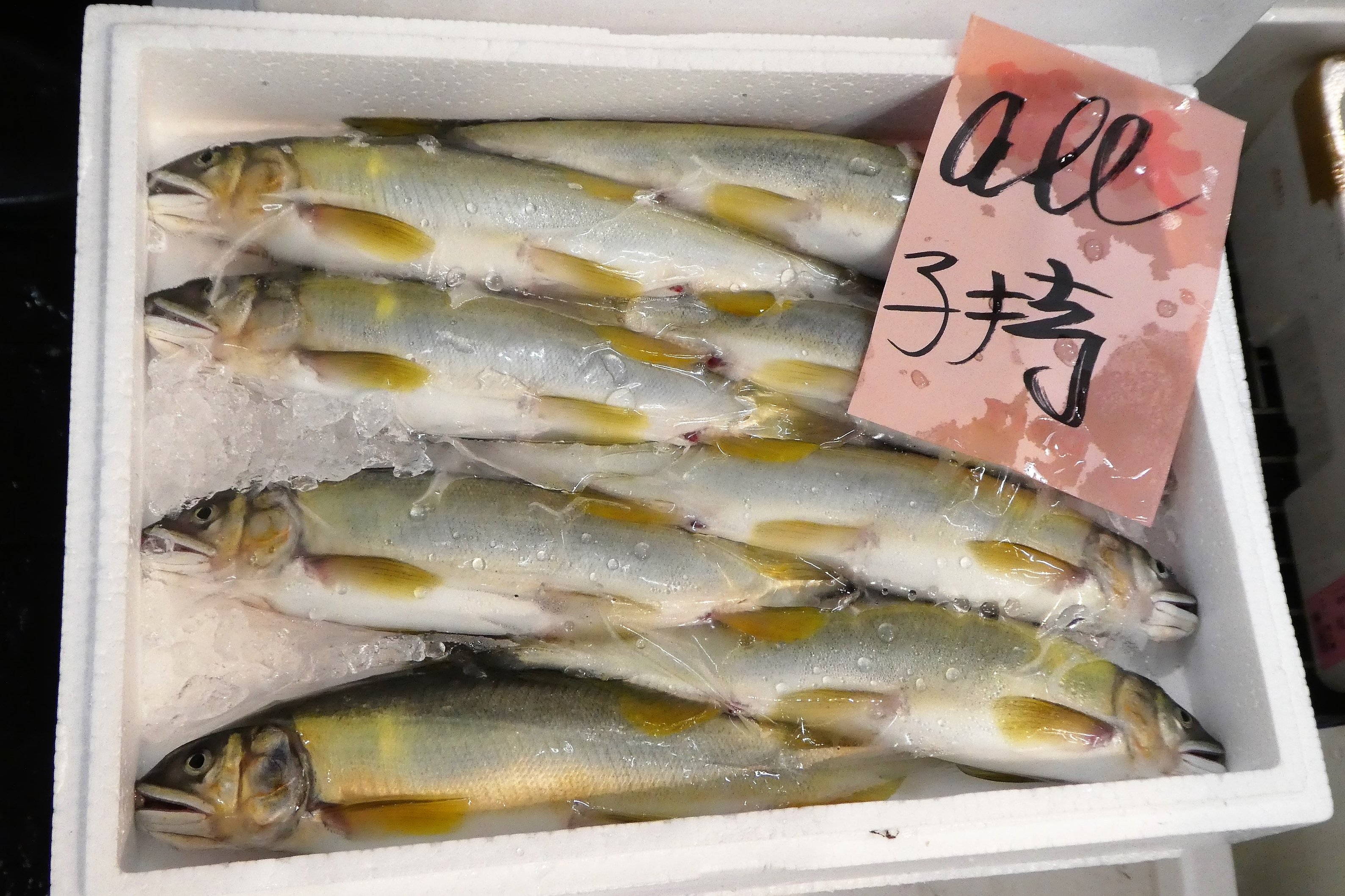 ザ 豊洲市場 公式 アユ 秋は 子持ち が珍重 晩秋に川で生まれ 海へと運ばれて越冬した後 春に稚アユ となって川を溯る 秋が近づき成熟が進むと産卵のため川の中流域まで下り 産卵して1年という短い一生を終える 産卵期は 落ちあゆ さび