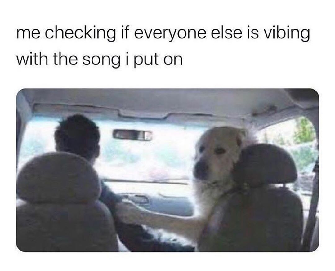 streetwisedj's tweet image. Haha who can relate? ✋😆

#edmhumor #beatmaker #hiphop #rap #beat #beats #producer #beatmakerhumor #edmnation #edmlife #ravehumor #edmvibes #edc #ravememes #musicproduction #edmpartypeople #edmmemes #edmfunny #edmnews #djhumor #musicproducer #musicproducerhumor #producerhumor