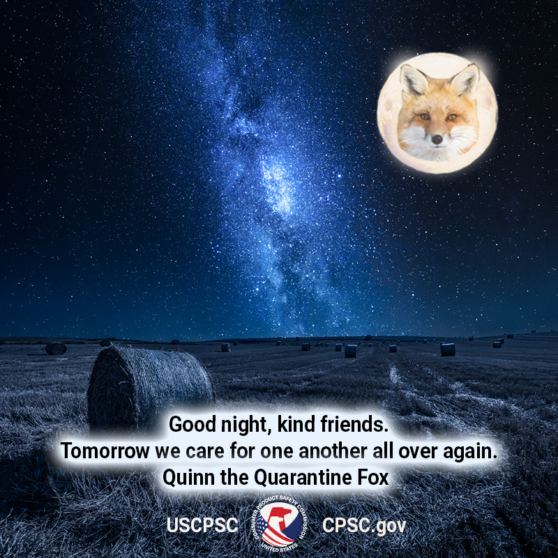 A fox in the moon over a field. The text reads: Good night, kind friends. Tomorrow we care for one another all over again. Quinn the Quarantine Fox.
