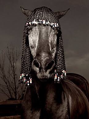 PIdentifier's tweet image. This horse needs to be cancelled. #misappropriation