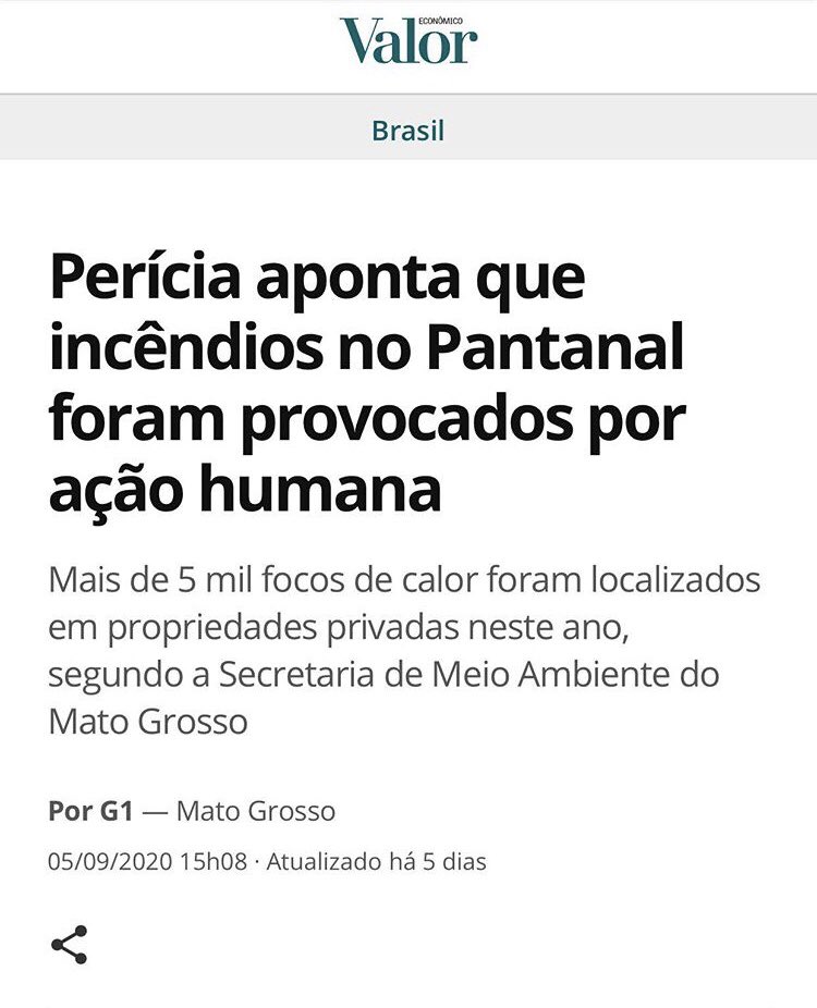 William Evangelista tweet media