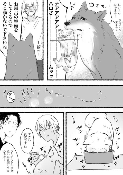 赤安(狼シュウと降谷さん)ハロくんは遊び疲れて熟睡中💤 