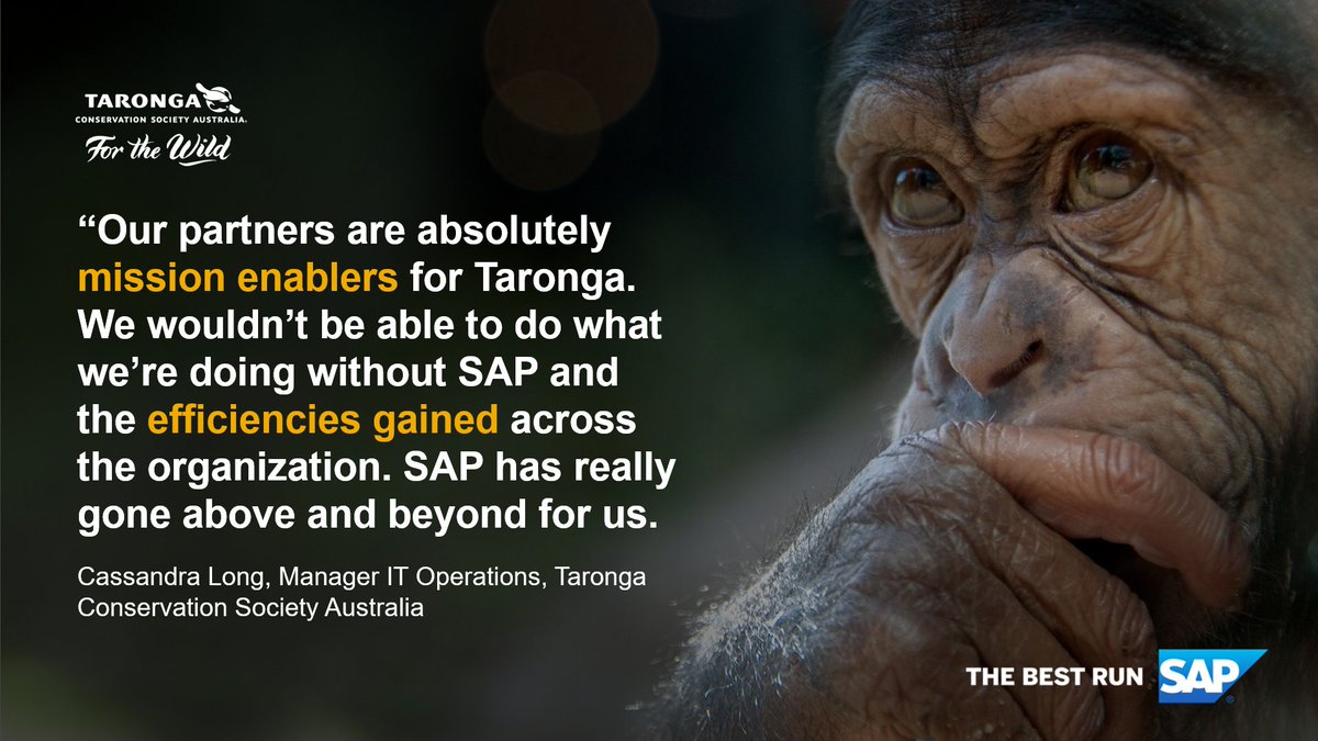 andrewagner's tweet photo. Global leader in wildlife conservation @tarongazoo delivered a unified technology platform as part of the #DigitalTransformation of its core processes with the help of @SAP and partners. Read the story: https://t.co/rnQcVxN2M6 https://t.co/EKaIrKToP8 #CustomerFirst