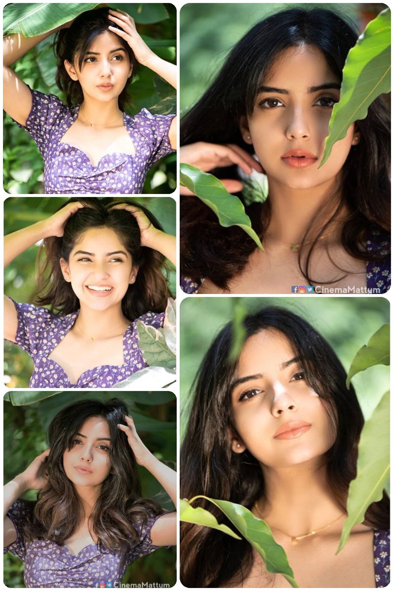 CMattum's tweet photo. #morningposts #kashmira #kashmirapardeshi
#heroine Of #sigappumanjalpachchai
#kashmiraofficial #kashmirapardesi
#morningpositivity #morninginnature #morninginsta
#naturephotograpy
#cinemamattum #morningmotivation
#MoodChallenge #GreenIndiaChallenge #GoodMorningTwitterWorld https://t.co/rfpee22h97