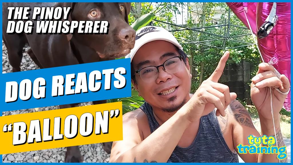 lestrezapanta's tweet photo. New Tuta Training episode
https://t.co/w3a97uYHBA
https://t.co/w3a97uYHBA
https://t.co/w3a97uYHBA https://t.co/QuZ6u32bko