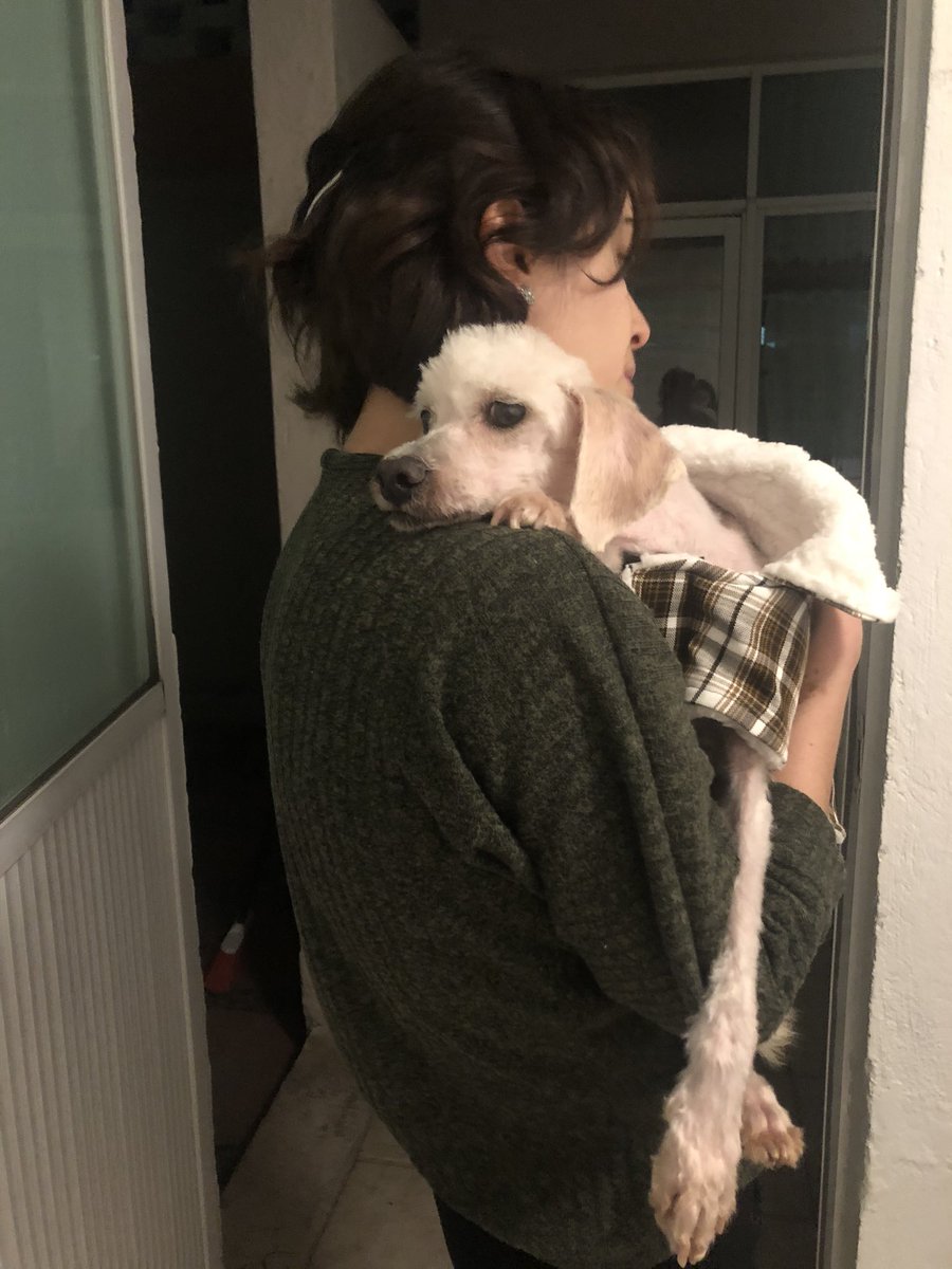 jimenatails's tweet photo. Hoy me convertí en mamá de 2 perritos más 😍🤍 unos viejecillos que pasarán sus últimos años en un hogar lleno de amor ✨ https://t.co/LWcHfMoMBj