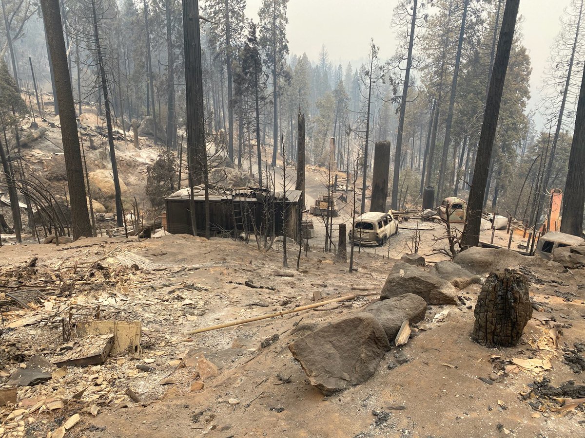 Aaron Magenheim tweet media