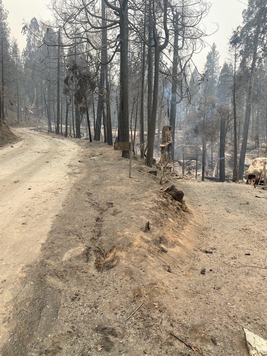 Aaron Magenheim tweet media